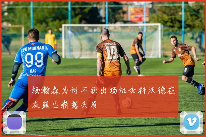 杨瀚森为何不获出场机会科沃德在灰熊已崭露头角
